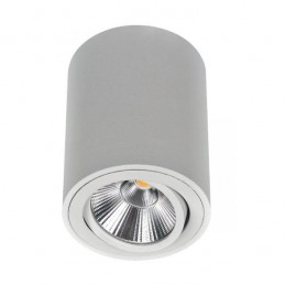 Spot saillie orientable WOOD 9W