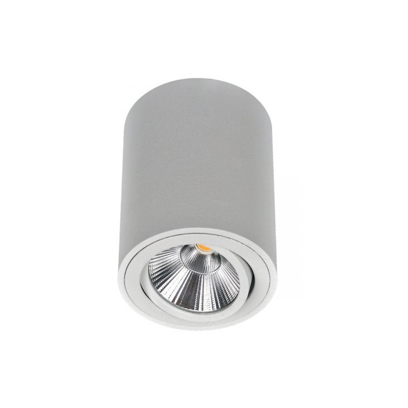 Spot saillie orientable WOOD 9W
