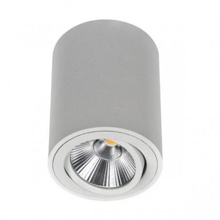 Spot saillie orientable WOOD 9W