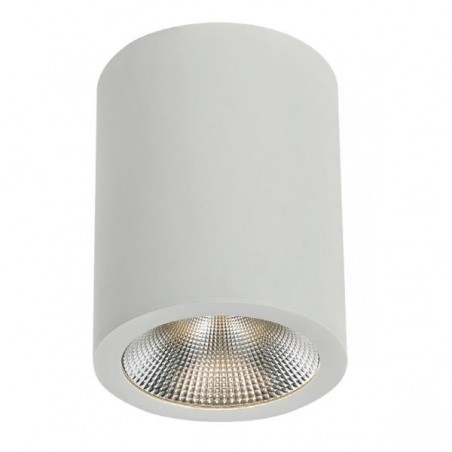 Spot saillie orientable BIG WOOD 24W