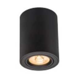 Spot saillie orientable BIG WOOD 24W