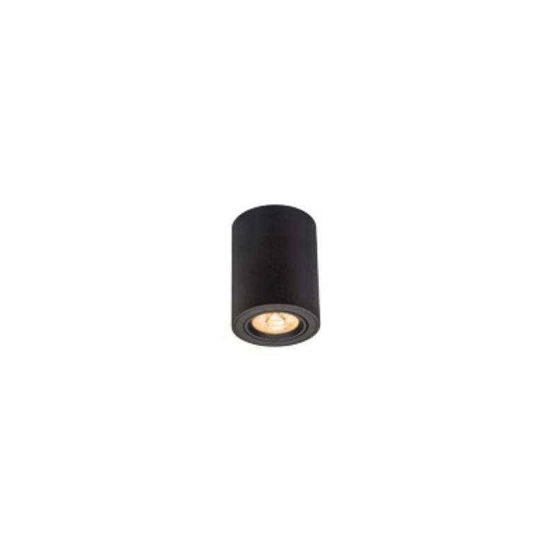 Spot saillie orientable BIG WOOD 24W