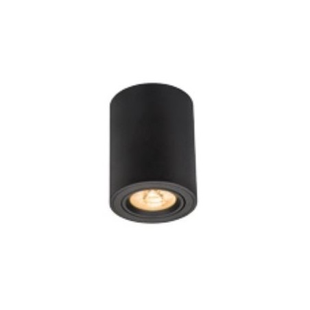 Spot saillie orientable BIG WOOD 24W