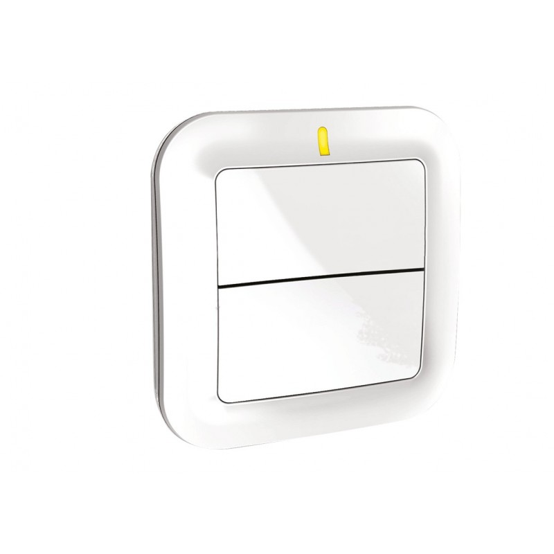 Interrupteur sans fil TYXIA 2310 pour éclairage ou automatisme Interrupteur sans fil TYXIA 2310 pour éclairage ou automatisme