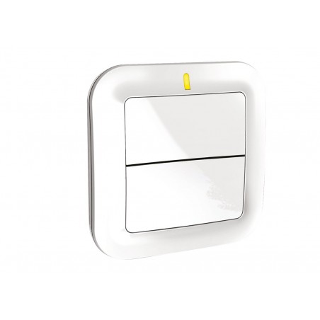 Interrupteur sans fil TYXIA 2310 pour éclairage ou automatisme
