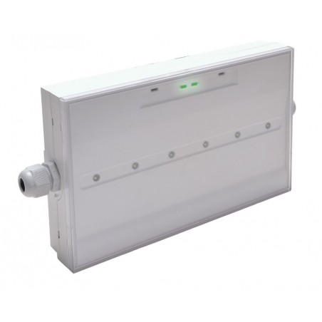 Bloc de secours SATI TOLEDO IP65 évacuation NP 45lm 1h
