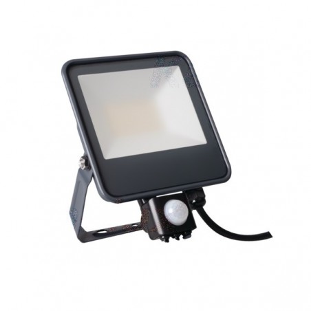 Projecteur LED IQ-LED FL SE 30W 4000K 3450Lm