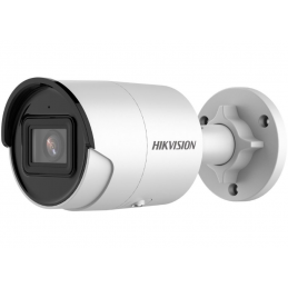 Caméra IP HIKvision DS-2CD2043G2-I