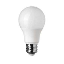 Ampoule de chantier E27 LED...