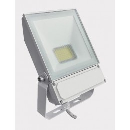 Projecteur LED NEWLOOP III 50W 4000°k 6300Lm blanc