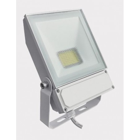 Projecteur LED NEWLOOP III 50W 4000°k 6300Lm blanc