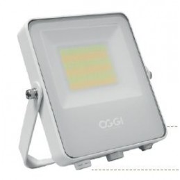 Projecteur LED PADO 20/30/50W CCT blanc