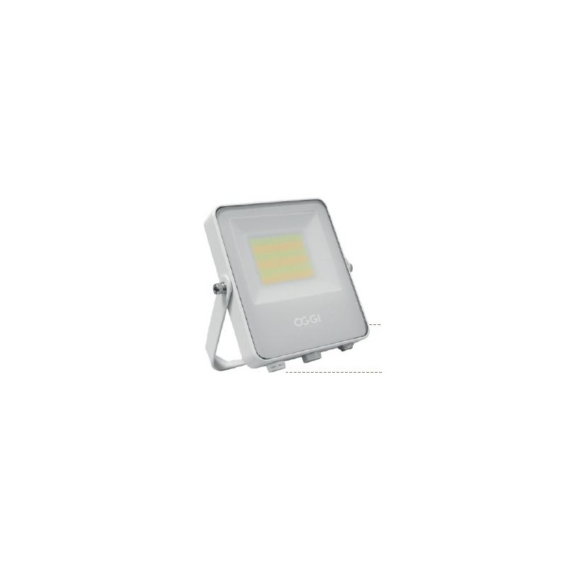 Projecteur LED PADO 20/30/50W CCT blanc