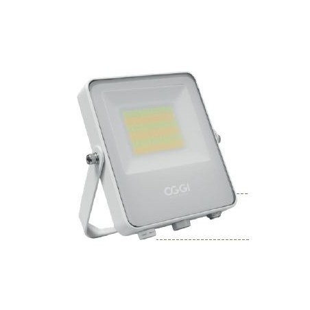 Projecteur LED PADO 20/30/50W CCT blanc