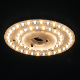 Module LED 12-24W CCT 170mm